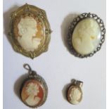 Two Silver Mounted Shell Cameo Pendants and two brooches