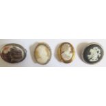 Three Shell Cameo Brooches and Wedgwood cameo brooch