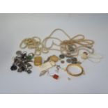 A Selection of Costume Jewellery including a Limoges enamel pendant, earrings, carved bone, coins, a
