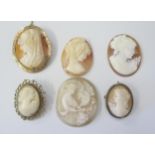 A Selection of Shell Cameo Brooches, etc., largest 42x34mm