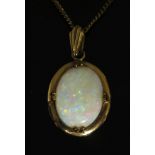 A 9ct Yellow Gold Set White Opal Pendant (17x12mm stone, 2.8g) and on a 16" chain, 2.2g