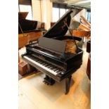 Steinway (c1893) A 6ft 11in 85-note Model B grand piano in an ebonised case on square tapered legs.