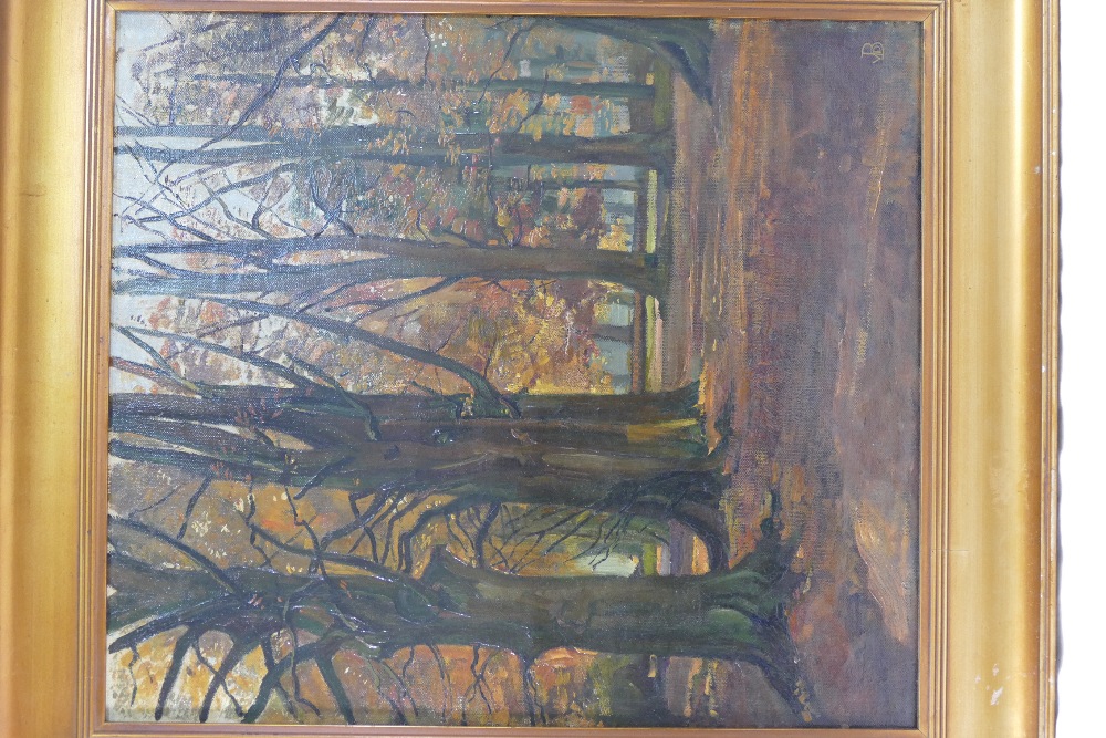 Early 20th Century, autumnal woodland scene, oil on canvas, initialled VDB lower right, 44cm x 38cm, - Image 2 of 2