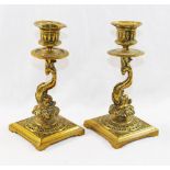 A pair of 19th century cast brass ornate candlesticks, with dolphin stems, raised on square bases,