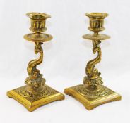 A pair of 19th century cast brass ornate candlesticks, with dolphin stems, raised on square bases,