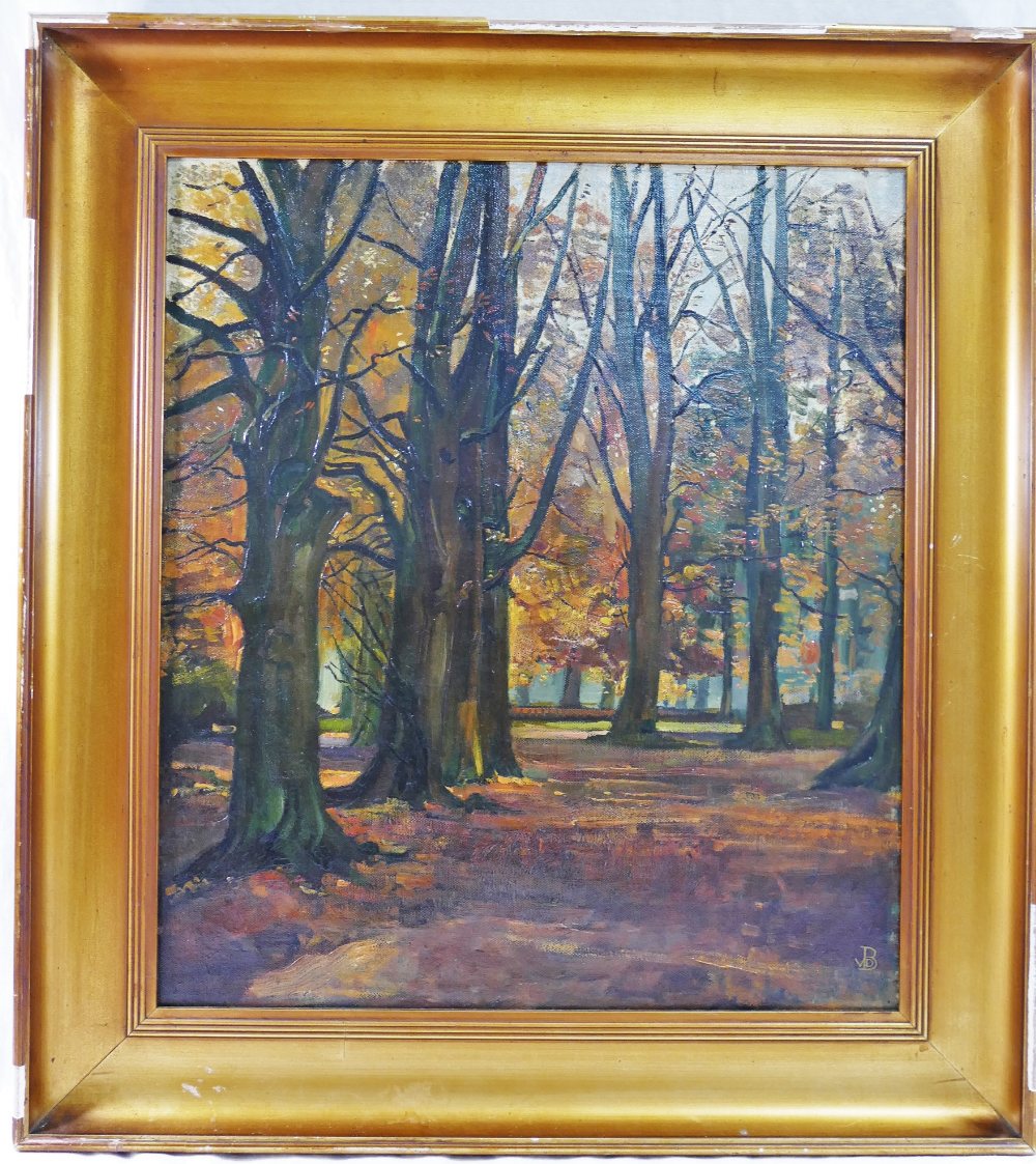 Early 20th Century, autumnal woodland scene, oil on canvas, initialled VDB lower right, 44cm x 38cm,