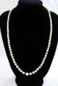 An early 20th century individually knotted graduated cultured pearl necklace with diamond set clasp,