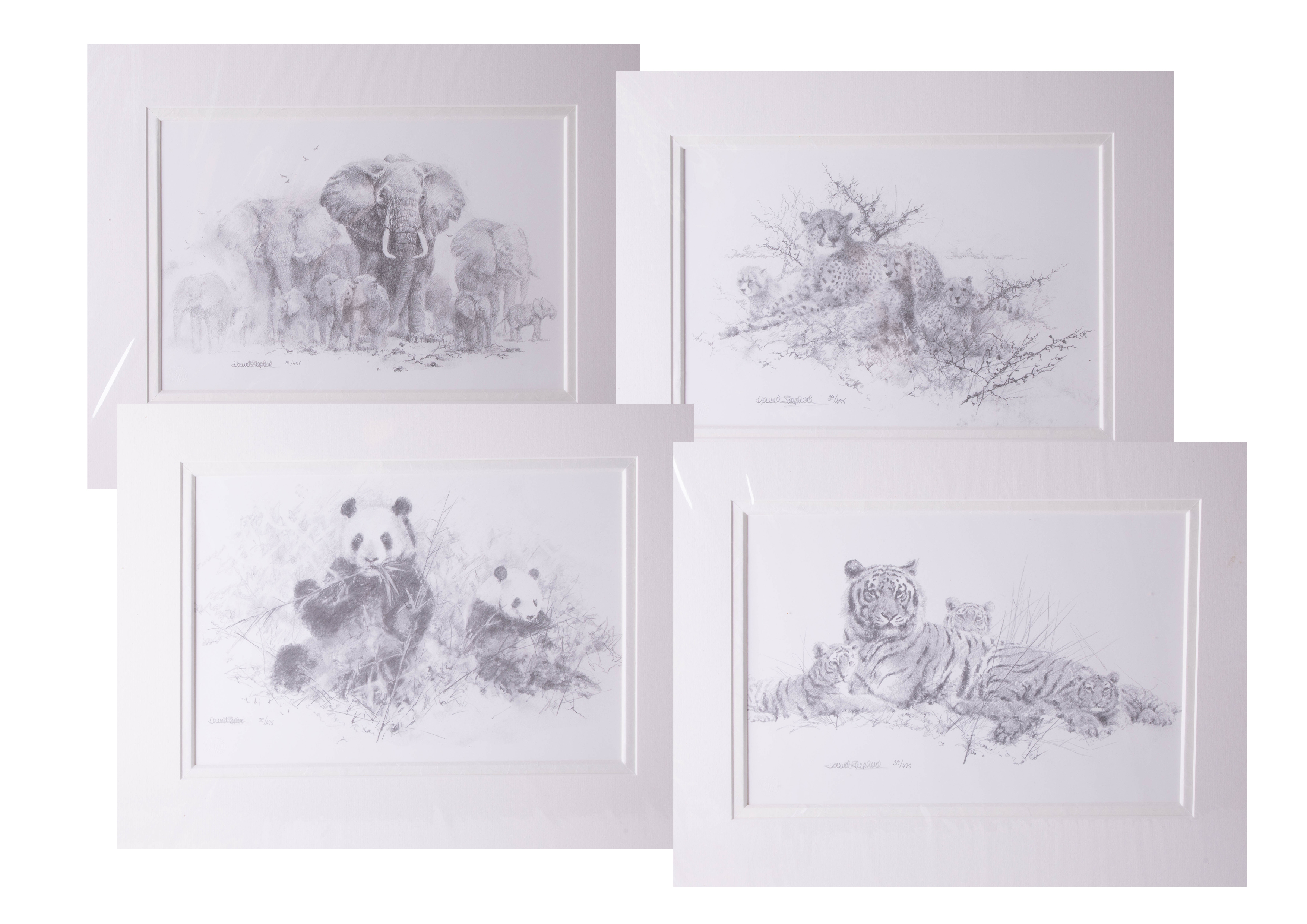 David Shepherd, a portfolio of 4 prints of pencil drawings published by Solomon & Whitehead titled