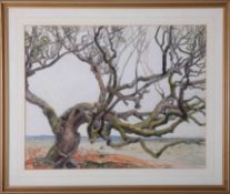 Eleanor Hughes (1882-1959), signed watercolour, 39cm x 49cm , framed and glazed.