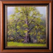 Clem Spencer (Plymouth), 'Sunlit Oak' oil on board, signed, 29cm x 29cm, framed. Provenance; this