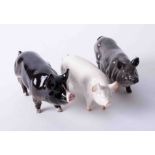 Beswick, three pigs including CH. Warboys (3).