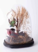 Taxidermy, two birds in a naturalistic setting under a glass dome, overall height 32cm.