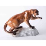 Beswick, 1702, a large model of a mountain cat, height 22cm.