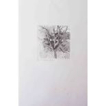 Robert Lenkiewicz (1941-2002) etching 'Painters Garden', signed, limited edition print 73/75,