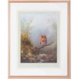 Clem Spencer 'Robin' limited edition print 29/450, 30cm x 23cm, framed and glazed.