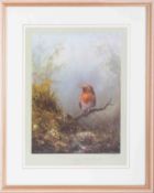 Clem Spencer 'Robin' limited edition print 29/450, 30cm x 23cm, framed and glazed.