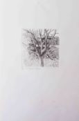 Robert Lenkiewicz (1941-2002) etching 'Painters Garden', signed, limited edition print 73/75,