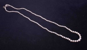 A string of graduated cultured pearls, sizes ranging from 5.4mm down to 2.4mm, with a creamy pink