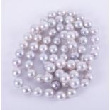 A string of knotted grey cultured pearls, approx. 7.5mm, 24" length, 42.54gm.