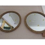 Pair of circular mirrors in gilt effect frames (overall diameter of each 49cm)
