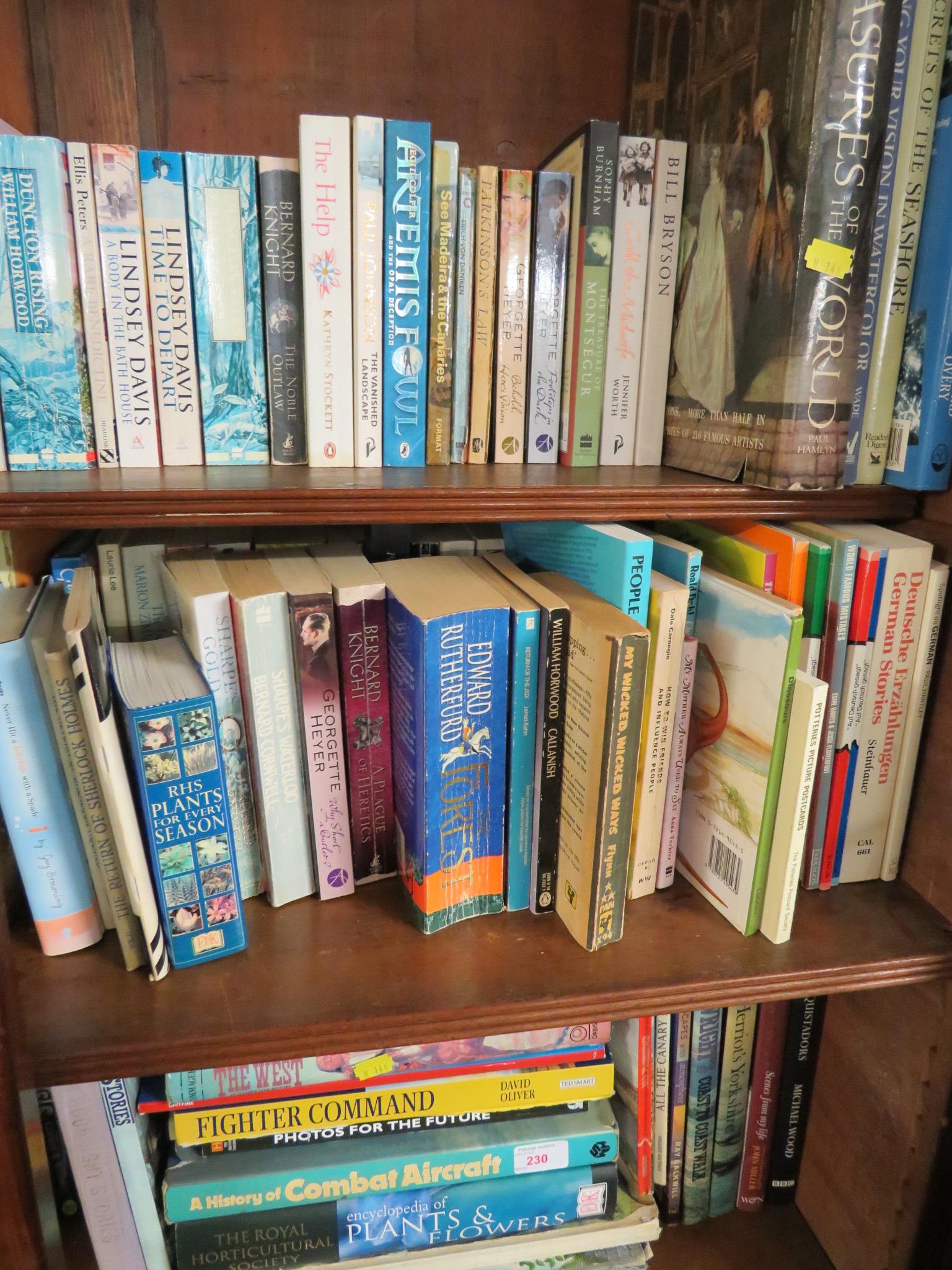 FIVE SHELVES OF FICTION AND REFERENCE BOOKS.