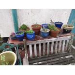TWELVE TERRACOTTA AND GLAZED CERAMIC PLANTING POTS (SOME WITH PLANTS)
