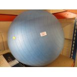 EXCERCISE BALL.