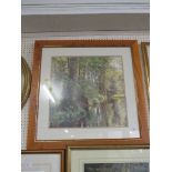 FRAMED AND GLAZED COLOURED PRINT OF WOODLAND.