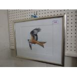 FRAMED AND GLAZED LIMITED EDITION PRINT OF A RED KITE.