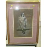 FRAMED AND MOUNTED WATERCOLOUR OF PEREGRINE FALCON . SIGNED PAM COOMBES.