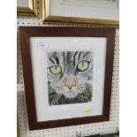 FRAMED AND GLAZED COLOURED PRINT OF CAT AFTER G WILLEN ENDORSED IN PENCIL.