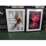 TWO FRAMED AND GLAZED IMAGES OF FLOWERS.