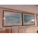 PAIR OF FRAMED AND GLAZED COLOURED SCILLY ISLAND PRINTS AFTER JOHN HAMILTON, TITLED SPRING TIME ON