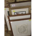 SIX FRAMED AND GLAZED PICTURES AND PRINTS OF CATS.