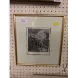 FRAMED AND MOUNTED PRINT AFTER PAM WRIGHT TITLED ANGELIC MOUNTAINS, ENDORSED IN PENCIL