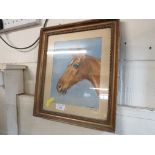 FRAMED AND GLAZED WATERCOLOUR OF RACE HORSE TITLED QUEEN BEE. SIGNED H BARROWCLIFF ELLIS AND DATED