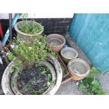 SELECTION OF CERAMIC GARDEN POTS, SOME WITH CONTENTS