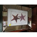 SET OF FOUR COLOURED PRINTS OF SEA CREATURES IN MIRROR FRAMES.