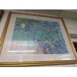 LARGE FRAMED AND GLAZED COLOURED PRINT OF FLOWERS.