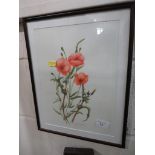 FRAMED AND GLAZED WATERCOLOUR OF POPPIES , SIGNED IN PENCIL.
