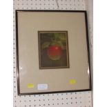 COLOUR PRINT OF APPLE ON BRANCH, FRAMED AND GLAZED, THE BACK MARKED NO 43/75 TERENCE MILLINGTON