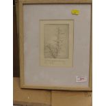 BOTANICAL ETCHING TITLED IN PENCIL TO THE MARGIN 'A FIELD OF GREEN ROSEMARY...', SIGNED TOM