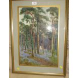 JANE GILCHRIST (C1854-1935) - PINE TREES AND BLUEBELLS, WATERCOLOUR, 51CM X 34CM, MONOGRAMMED JG