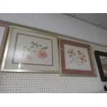 AFTER GAY CORRAN - TWO BOTANICAL PRINTS, FRAMED AND GLAZED, BROCHURE IN OFFICE