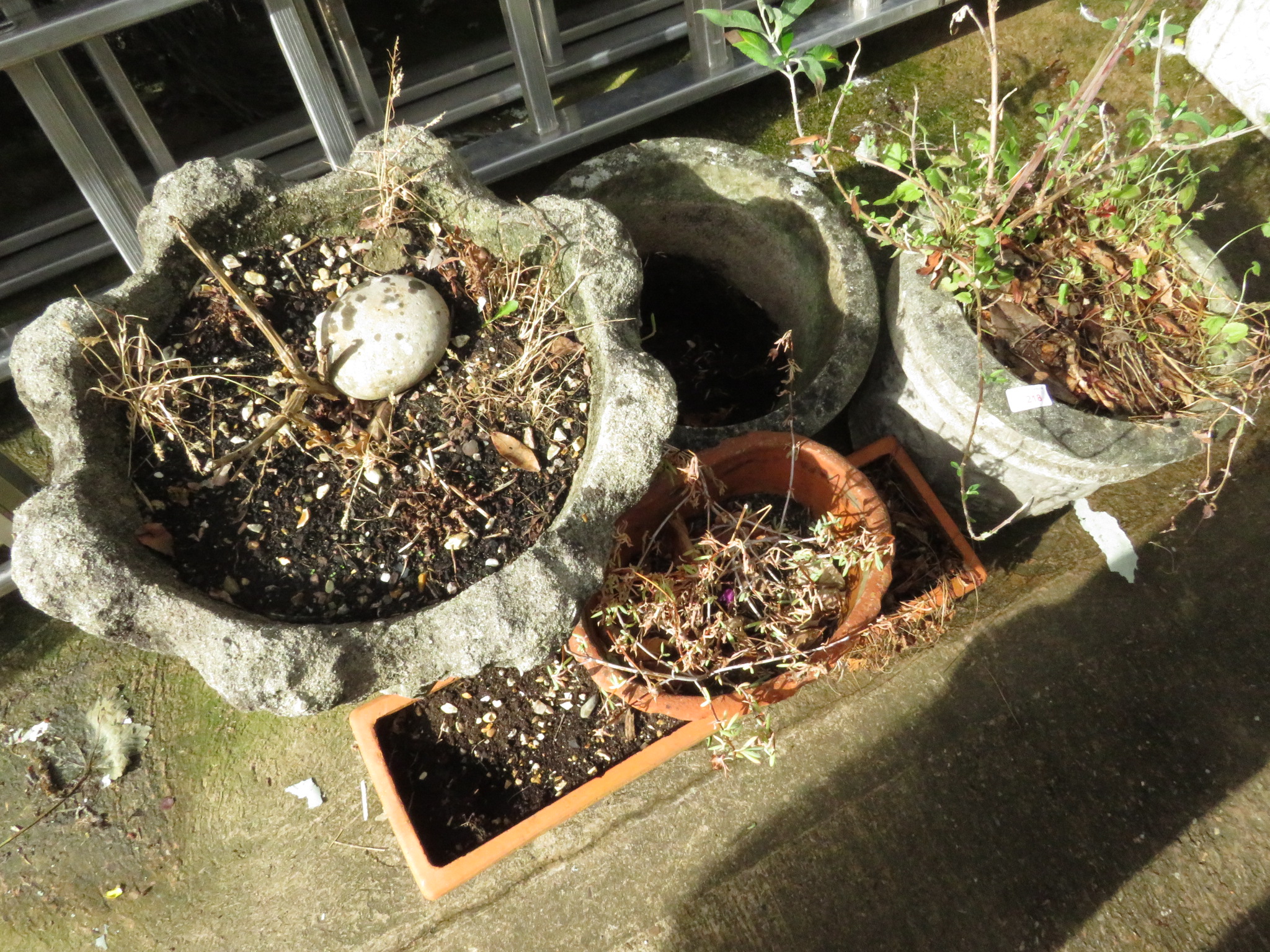 TWO TERRACOTTA PLANT POTS AND THREE COMPOSITE STONE PLANTERS