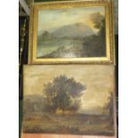 19TH CENTURY OIL ON CANVAS OF LAKE AND MOUNTAIN SCENE WITH LABEL AND HAND WRITTEN ANNOTATIONS TO THE