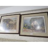 TWO FRAMED AND MOUNTED PRINTS OF AFRICAN WILDLIFE.