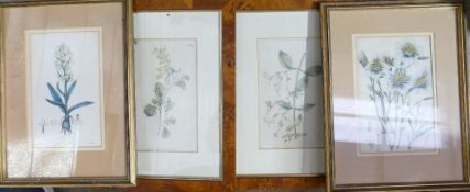 Botanical prints later 18th century and early 19th cent x 4: Two pairs of hand coloured framed