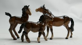 Beswick Foals to include: Comical 728,