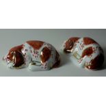 Two x Royal Crown Derby paperweight PUPPY GUILD MEMBERS PACKS: Gold stopper, first quality,